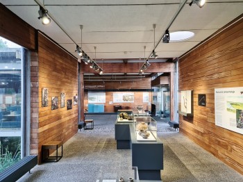 Original finds, models and multimedia elements illustrate 15,000 years of life at Lake Federsee.