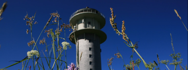 Enjoy a great view from the observation tower.