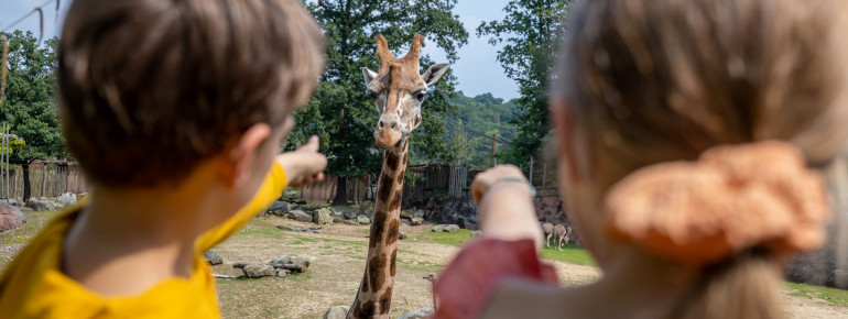 Four different areas await you at GaiaZOO Kerkrade!