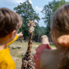 Four different areas await you at GaiaZOO Kerkrade!