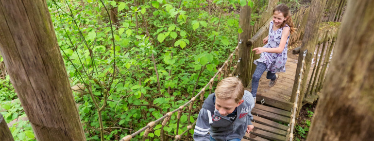 On the JungleTour, kids climb over exciting suspension bridges and high climbing towers.