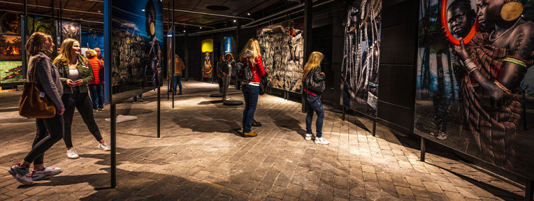 The exhibitions and projection shows change regularly.