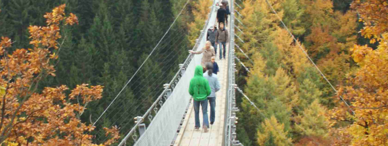 The Geierlay suspension bridge is located in the heart of the Hunsrück.