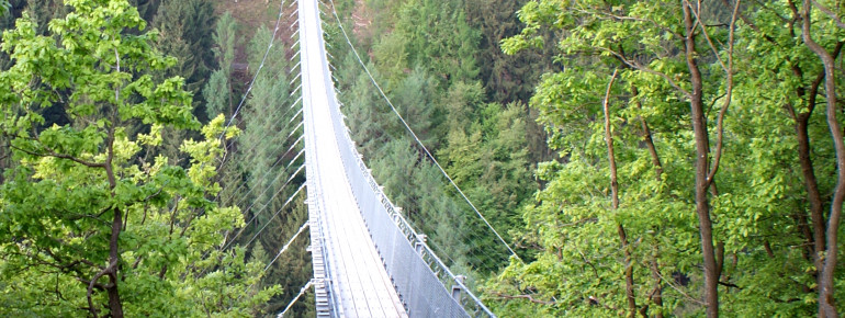 The walkway is made of rough-sawn Douglas fir and is bolted onto the hanger structures, which are mounted at intervals of 1.50 meters.