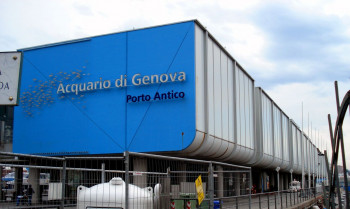 The aquarium is located in the port of Genova