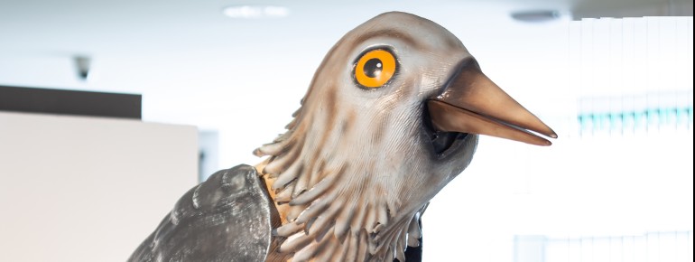 Here is the home of the Kuckuck.