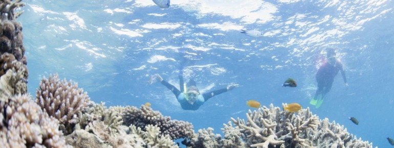 Great Barrier Reef, QLD 2014