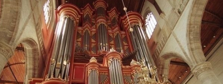 One of the four organs
