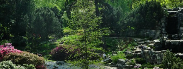Various bodies of water can also be found in the middle of the Grugapark.