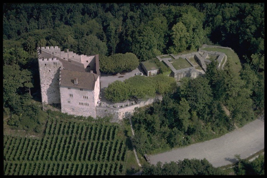 Habsburg Palace 