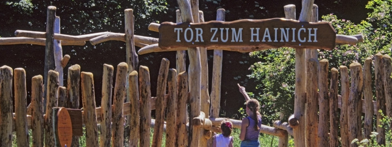 Hainich National Park