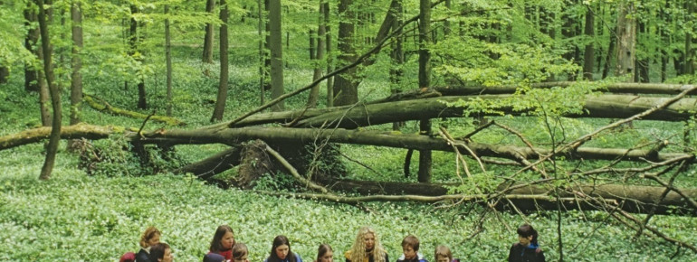 Guided tours help understand this natural environment.