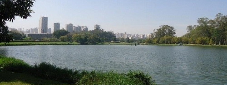 A green oasis in the middle of the city