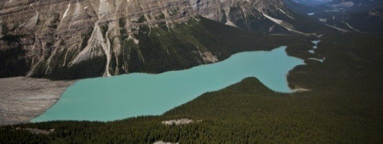 The turquoise-blue Lake Peyto lies directly at the Icefields Parkway