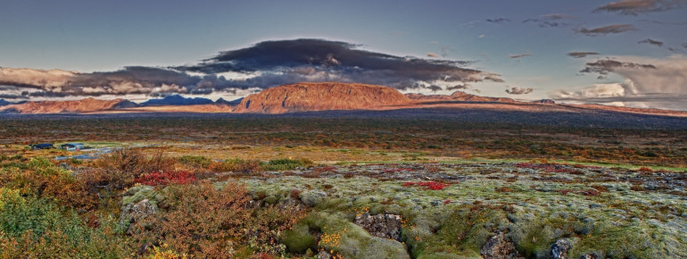 Beautiful colours in autumn