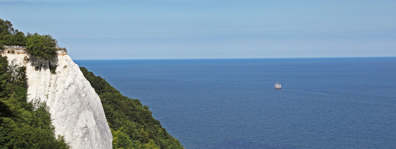 Jasmund National Park is one of the few areas in Germany, where a closed forest is developing into an open biotope.