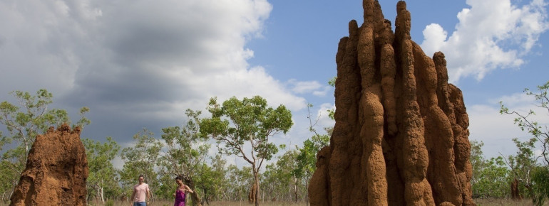 Termite Mounds, Kakadu National Park
