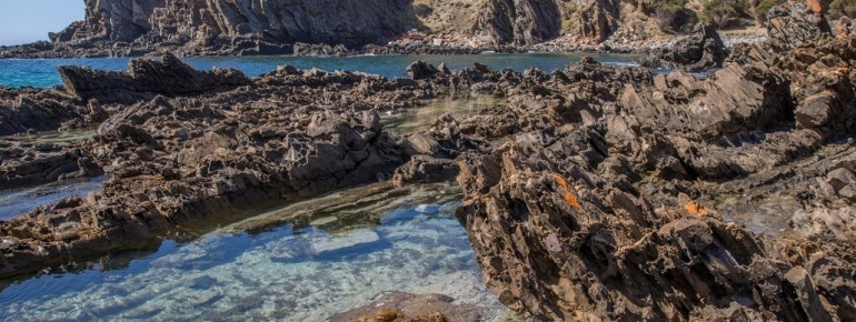 Western River, Kangaroo Island, SA 2014