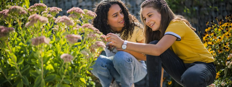 In the theme park, children can playfully explore the diversity of native plants and habitats.