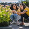 In the theme park, children can playfully explore the diversity of native plants and habitats.