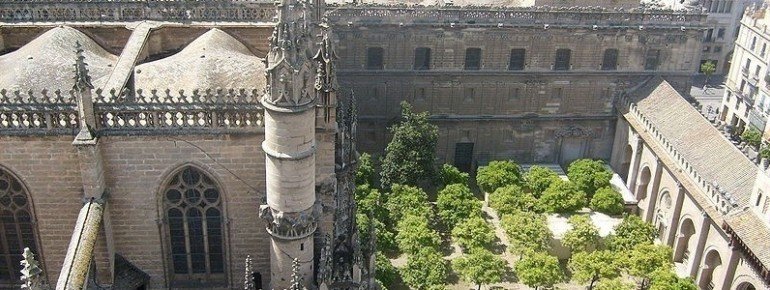 View from top of La Giralda on the orange cathedral garden
