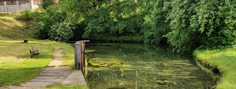 The Lauter spring is fed by five karst springs, which together deliver around 150 liters of water per second.