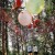 At WOW PARK, families can experience an adventure close to nature with suspension bridges and play caves in the forest.