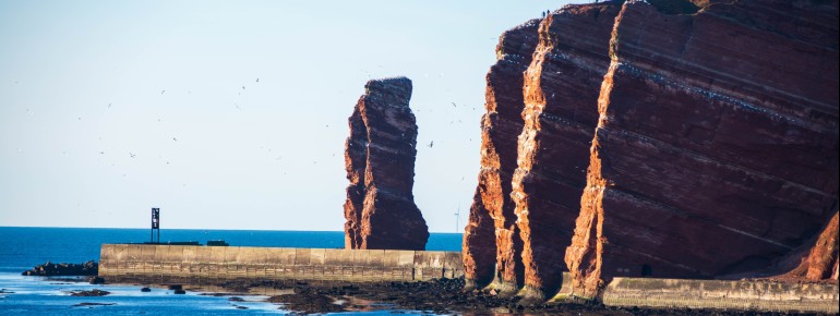 Long Anna is home to numerous seabirds.