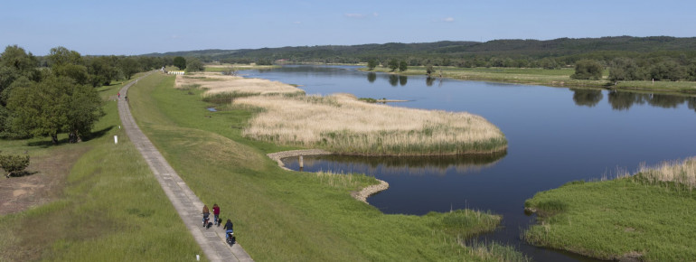 The various bike trails lead you through Lower Oder Valley National Park.