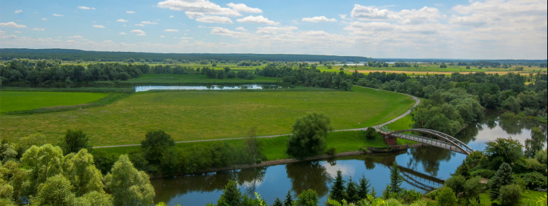The Lower Oder Valley offers ideal living conditions for numerous animal and plant species.