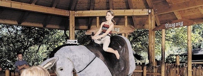 Rodeo on the stubborn donkey.