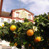 Explore more than 50 citrus fruit types.