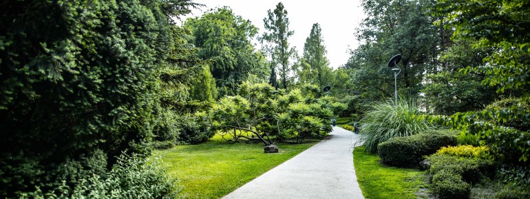 Margaret Island is a green paradise in the heart of Budapest.
