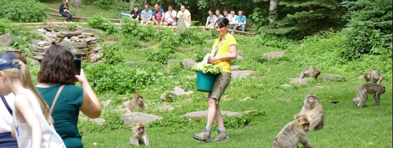 During the feedings you can learn interesting facts about the animals.