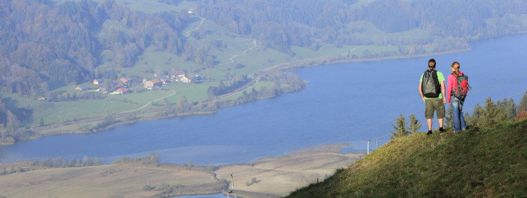 You get a great panoramic view of Großer Alpsee lake in Allgäu.