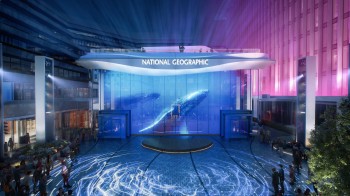 A room-filling digital installation lets you browse every cover of National Geographic Magazine since 1888.