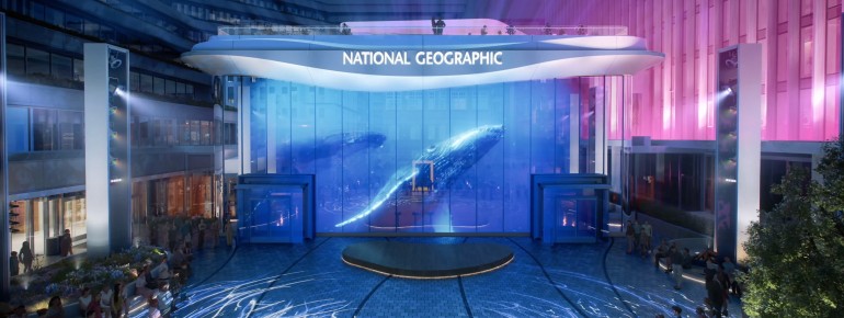 A room-filling digital installation lets you browse every cover of National Geographic Magazine since 1888.