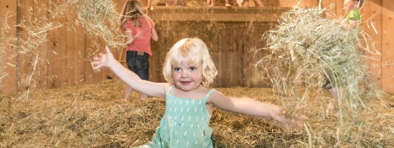 Lots of fun for the young and the old!