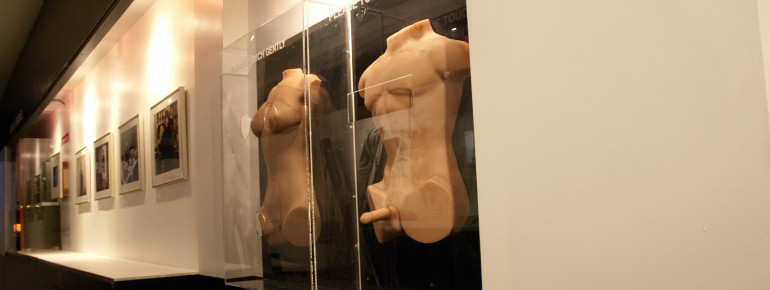 Do touch: these exhibits are explicitly meant for palpating.