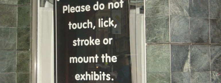 ...an important note at the Museum of Sex ;)