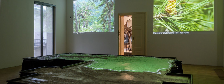 natural history at Joanneum