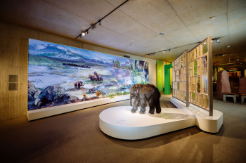 The permanent exhibition takes a closer look at climate change, among other things.