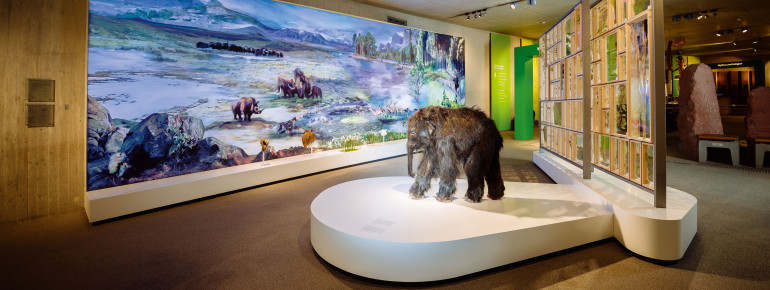The permanent exhibition takes a closer look at climate change, among other things.