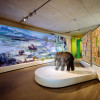 The permanent exhibition takes a closer look at climate change, among other things.