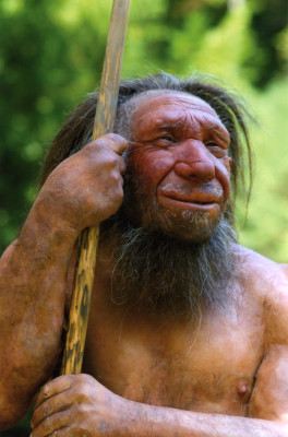 Neanderthal Mr. N