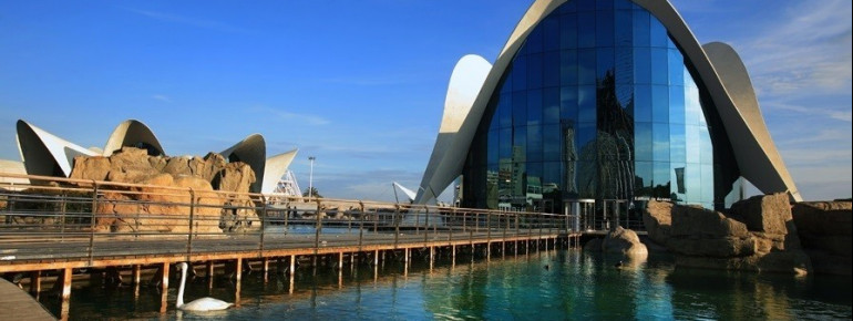 Oceanogràfic