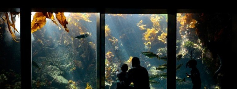 Océanopolis Brest