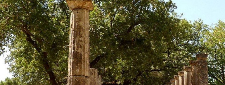 The Palaestra