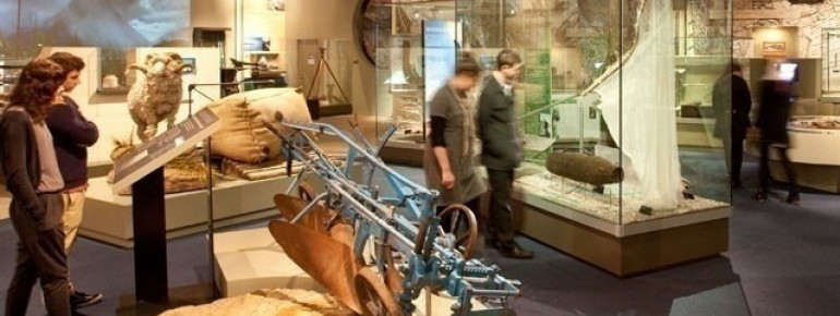 Walk through exciting exhibition halls