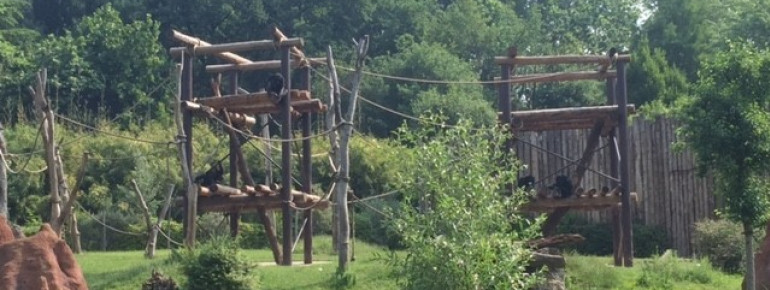 This playground is not meant for humans